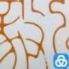 争分夺秒  追赶超越——向提高十分再出发弘毅二班追赶超越再推进主题班会