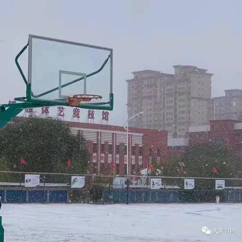 大雪纷飞满校园，合力除雪暖人心——记达拉特旗第七中学初雪