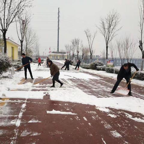 龙湖公园全体职工齐心协力，冒雪打扫龙湖积雪。