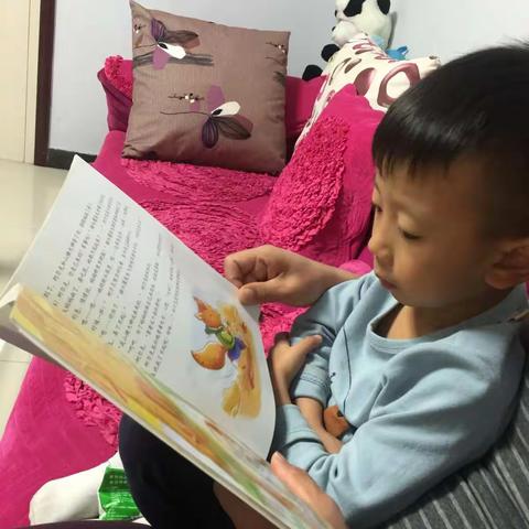 锦毅爱阅读📖