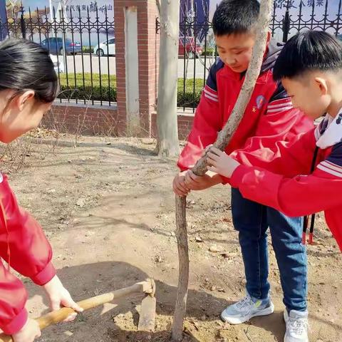 春风十里，不及一抹绿意——临朐中学附属小学植树节系列活动
