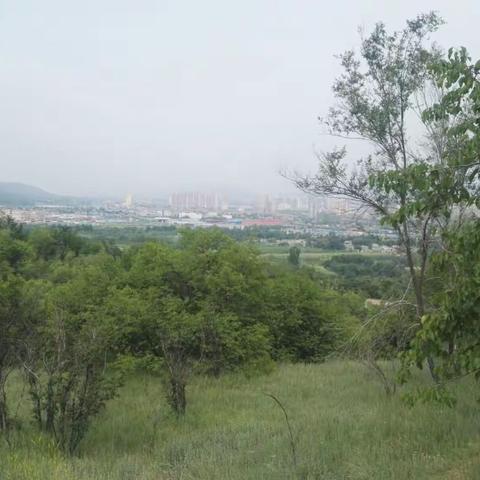 临夏南山风景