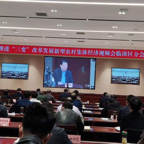 我区组织参加第三次全省“三变”改革视频会