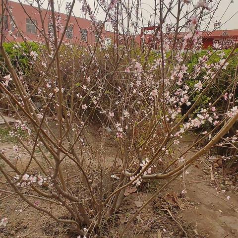 养成好的学习习惯