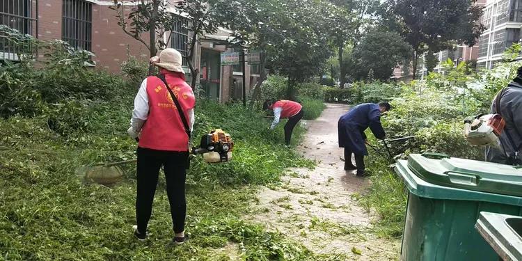 小区绿化修剪培训