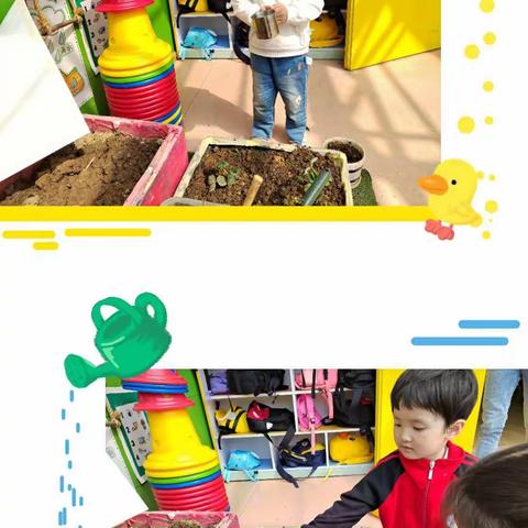 贵州省仁怀市实验幼儿园小一班主题活动“草莓甜蜜蜜”