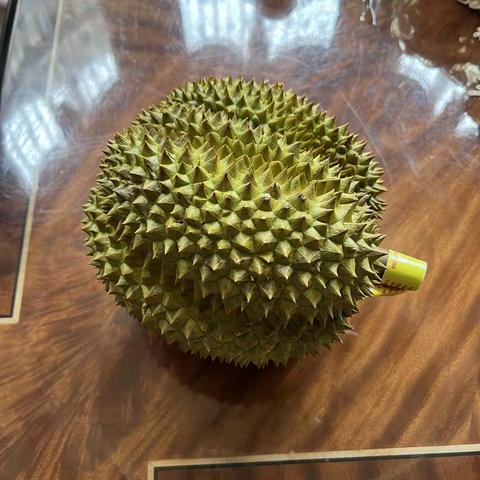 我最爱吃的一种水果—榴莲