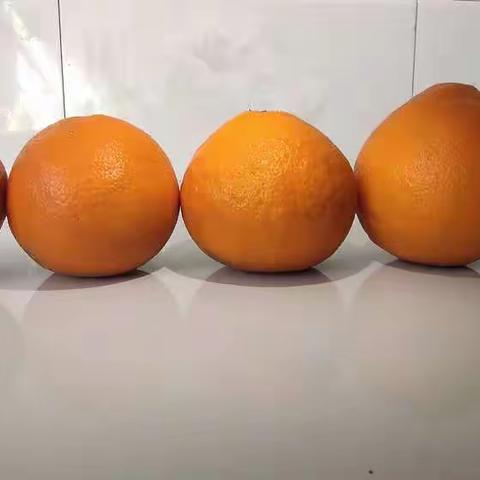 爱媛38🍊