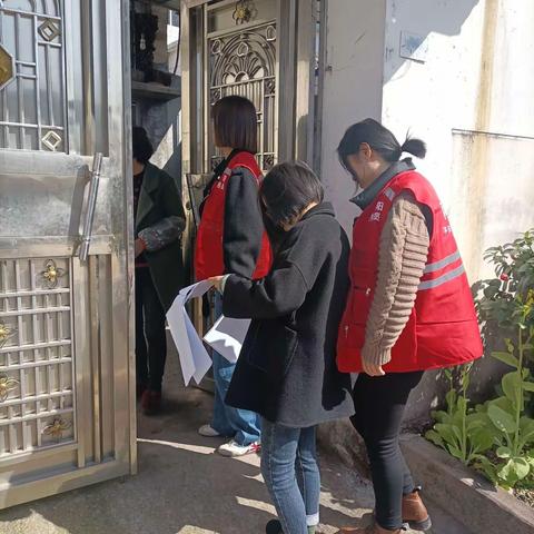 罂粟踏查，网格员在行动