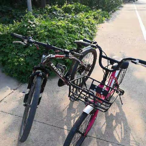 骑自行车🚲