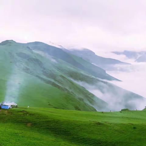 山花烂漫九顶山