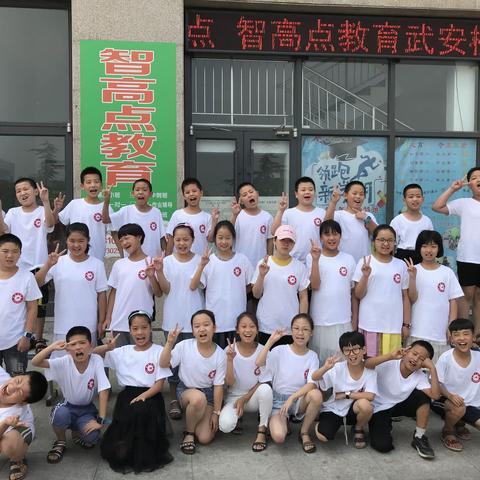 心向阳光的美篇