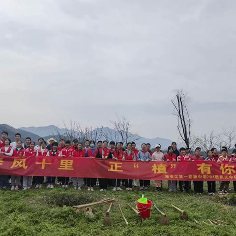春风十里  正“植”有你——记新一中701班阳光中队植树节主题实践活动