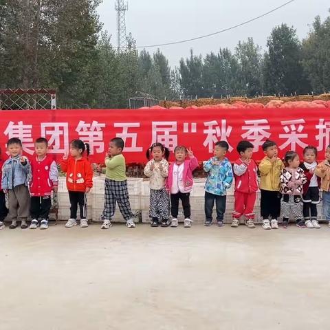 “薯”于我们的秋天——阳光智能幼儿园小二班挖地瓜行动😘