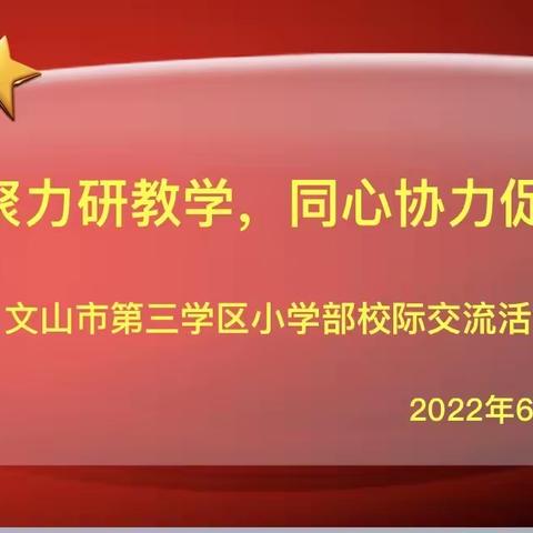 凝心聚力研教学，同心协力促发展          ——记文山市第三学区小学部校际教研交流活动