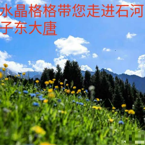 6月17日水晶格格带您走进石河子东大塘登千层云梯，拜金佛，走鲜花之路，野韭菜沟摘野韭菜！摄影拍抖音专场！🌹