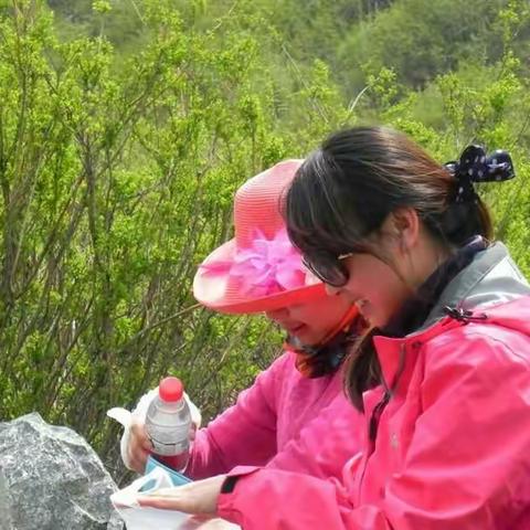 5月14日水晶格格亲自带您山楂沟踏青，采集野菜，休闲摄影拍抖音一日游！费用60元！