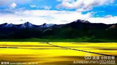 《门源，我的文字和你一起忧伤》