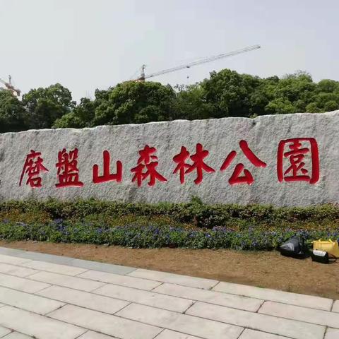 春游正当时