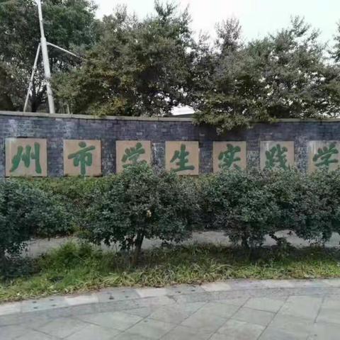 实践活动