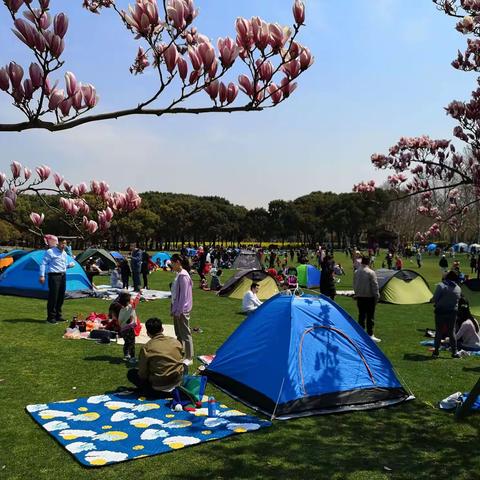 春天的世纪公园——手机随拍