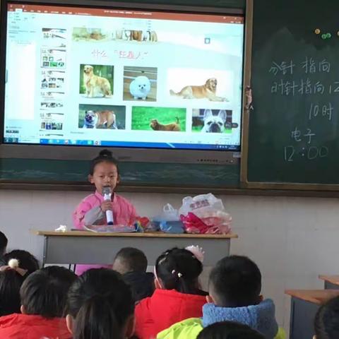 腊月寒梅的美篇