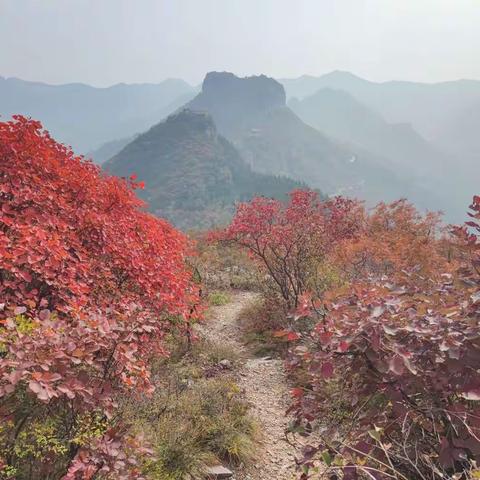 20221016行在莲花山-达摩顶-劈山