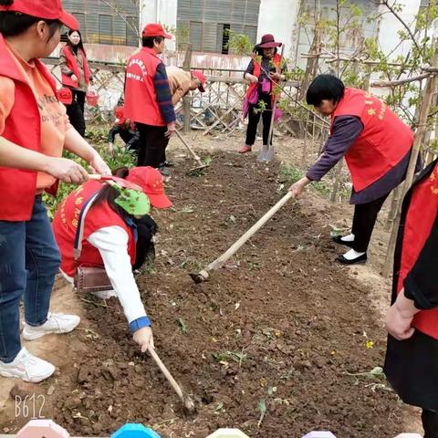 我们一起成长——华星幼儿园清明节种植活动