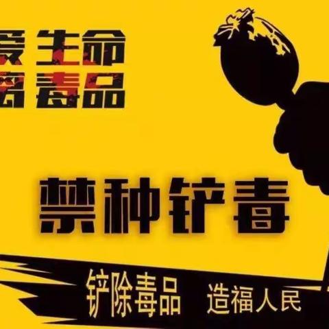 库都尔森工公司信息中心开展“禁种铲毒”活动