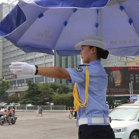 那一抹“蔚蓝”清凉了一整个夏天