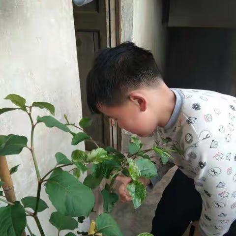 不一样的清明节