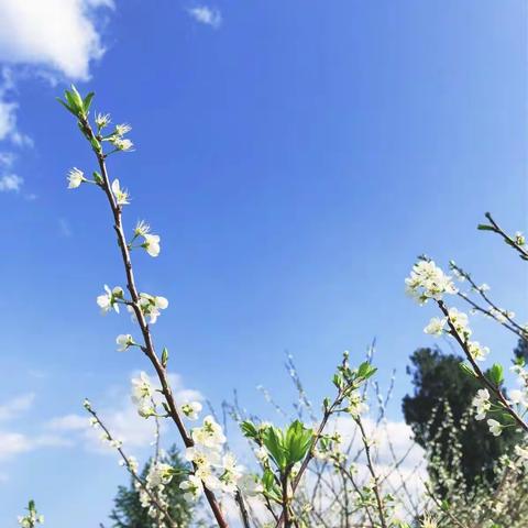 油山镇老屋下小学—开学典礼