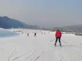 竹林滑雪🎿@蓝田印象