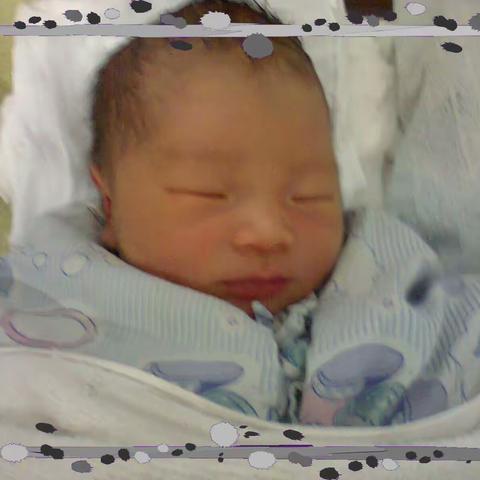 我家10年编年史