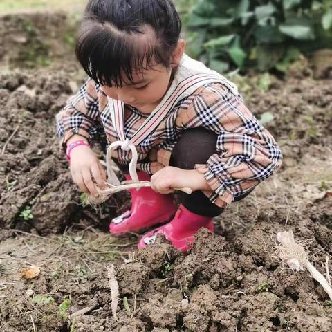 我们的国庆假期