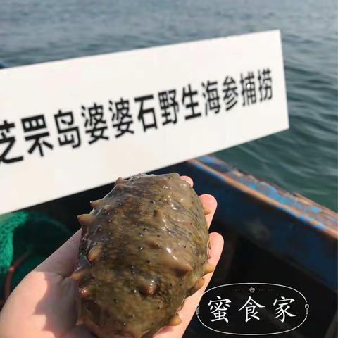 科普海参那些事，涨涨知识也是极好的