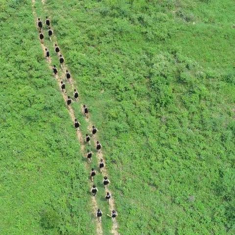 在这所农村中学 他们“跑山”圆梦大学