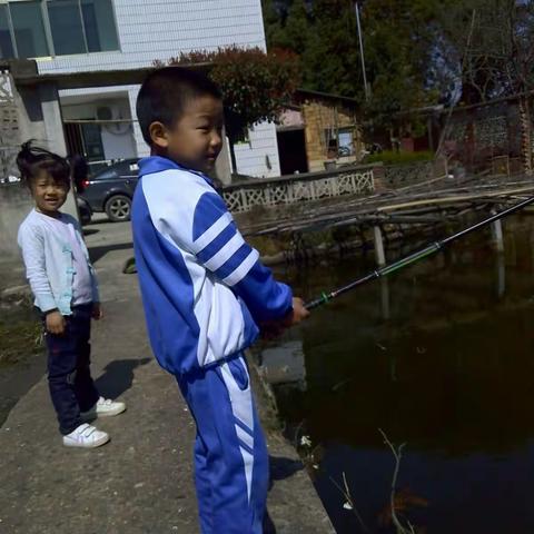 阳春三月，感受春的气息！