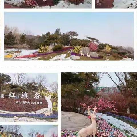 [碧桂园 ·红旗谷]东北区域红旗谷项目物管部月度会操