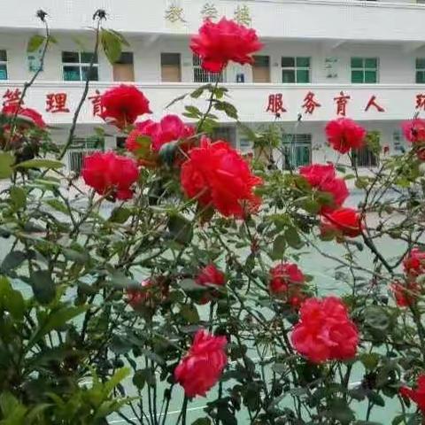 2020一一2021学年六年级编班表