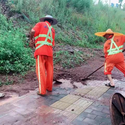 环卫作业精细化   城市卫生再提升