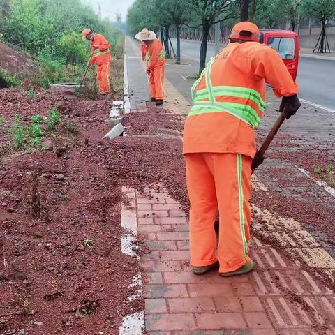 加强清扫保洁力度   提升环境卫生质量