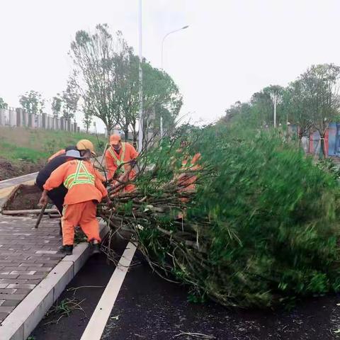 提高环境卫生质量   做好日常保洁工作
