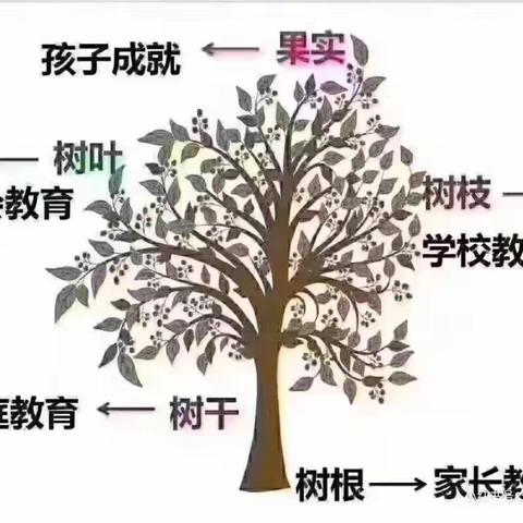 008家校共育🍀与爱同行——时光不语🌸静等花开  🌱联小二（4）《父母好好学习，孩子天天向上》结尾有彩蛋哦！