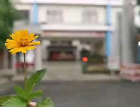 少年心事当拿云，且振羽翮赴乾坤，一一致2022届全体学子