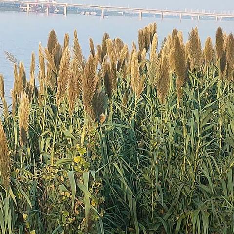 李宇轩生物作业