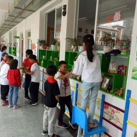 振兴小学三年级(1)班“建设美丽校园，打造绿色振兴”实践活动