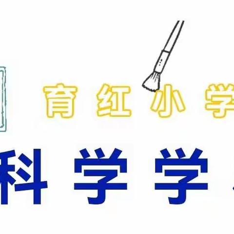 “红娃”有约   “ 科学”在线