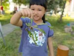 中一班：幼儿精彩生活3⃣