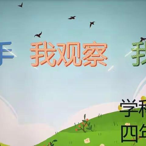 四年级学科活动——我动手   我观察  我快乐